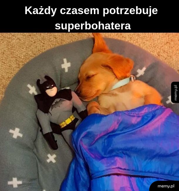 Superbohater