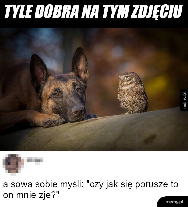 Sóweczka