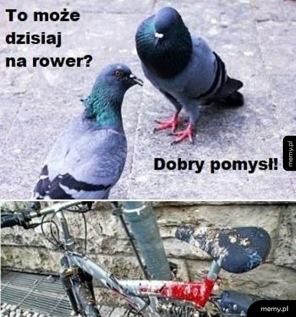 Plan na dziś