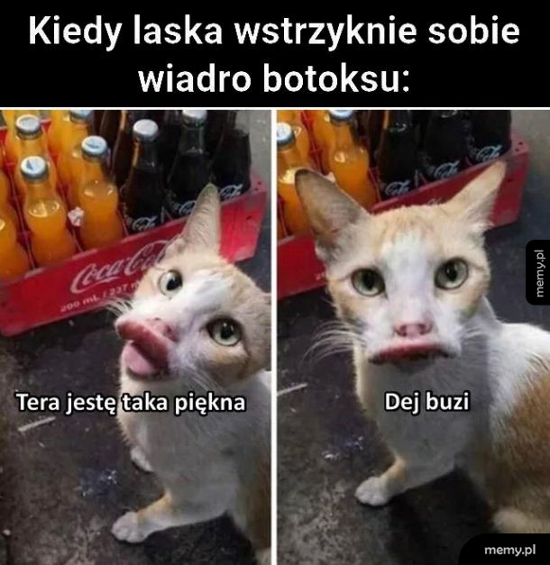 Taka piękna