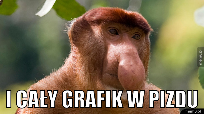 I cały grafik w pizdu