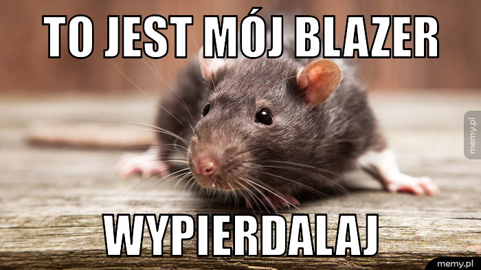 To jest mój blazer wypierdalaj