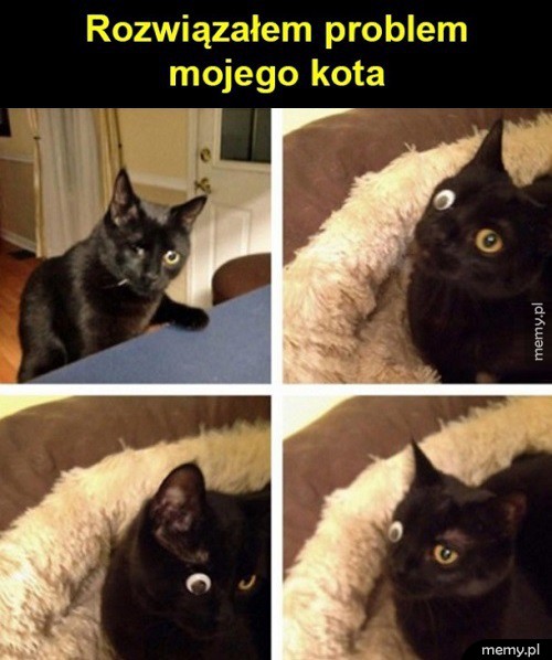 Problem rozwiązany