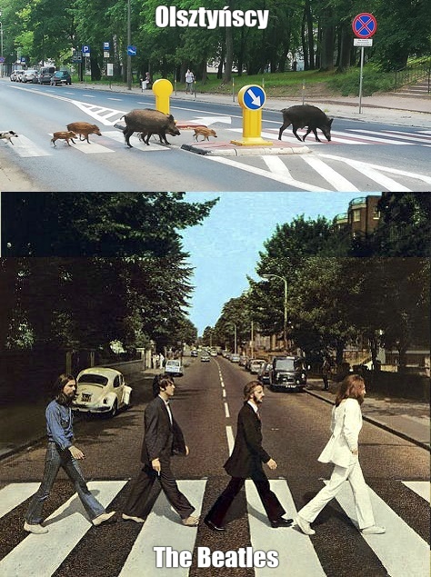 Olsztyńscy The Beatles
