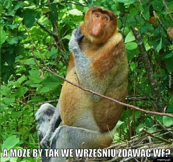 A może by tak we wrześniu zdawać WF?