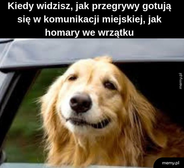 Śmieszyło mnie to, póki sobie nie przypomniałem, że nie mam klimatyzacji w samochodzie