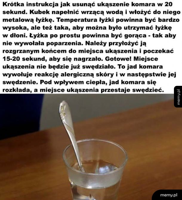 Ma to sens