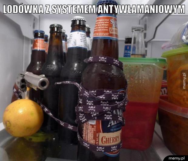 Systemem antywłamaniowym.