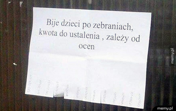 Znajdź swoją niszę