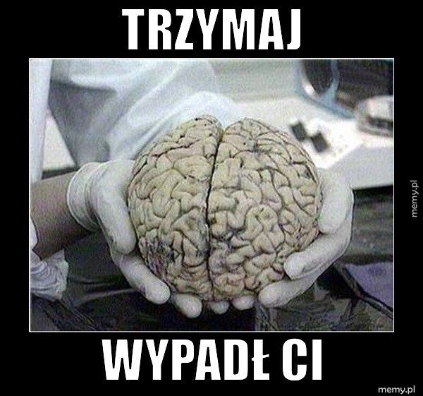 Trzymaj