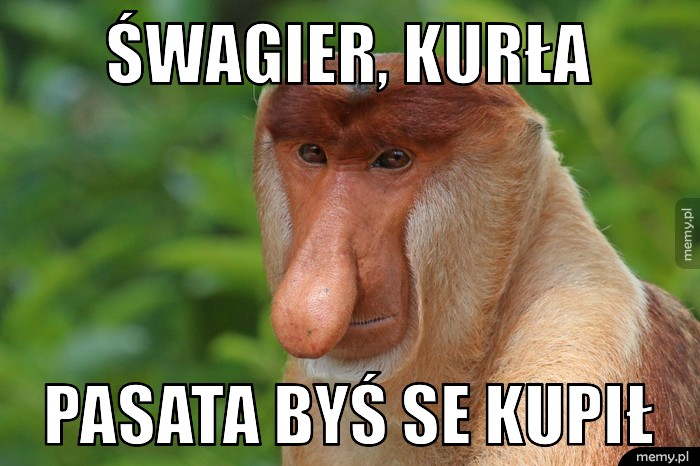 Śwagier, kurła Pasata byś se kupił