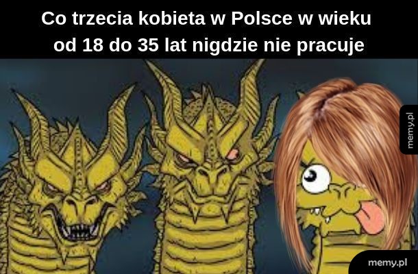 Statystyki
