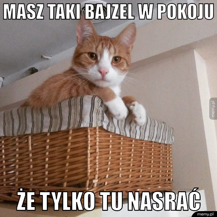 Masz taki bajzel w pokoju Że tylko tu nasrać
