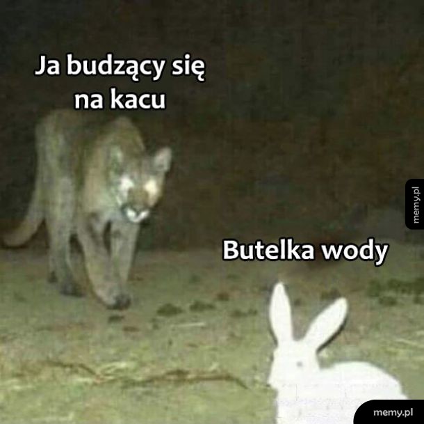 Ciężka pobudka