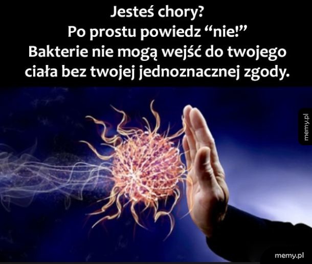 Bakterie