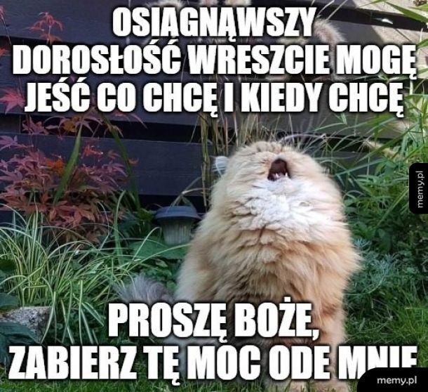 Najgorzej