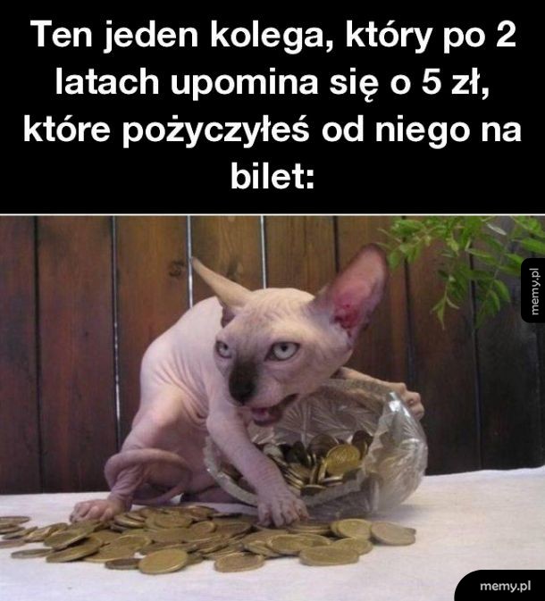 Kolega