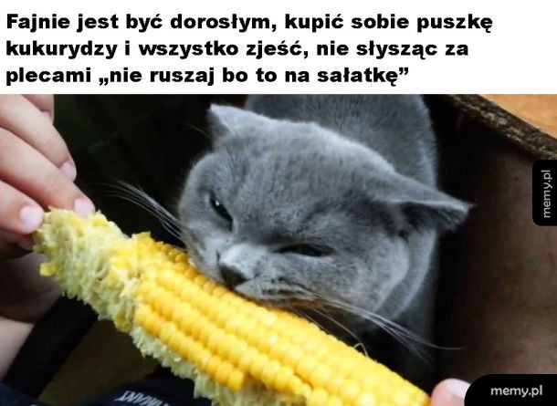 Taaa, bardzo fajnie