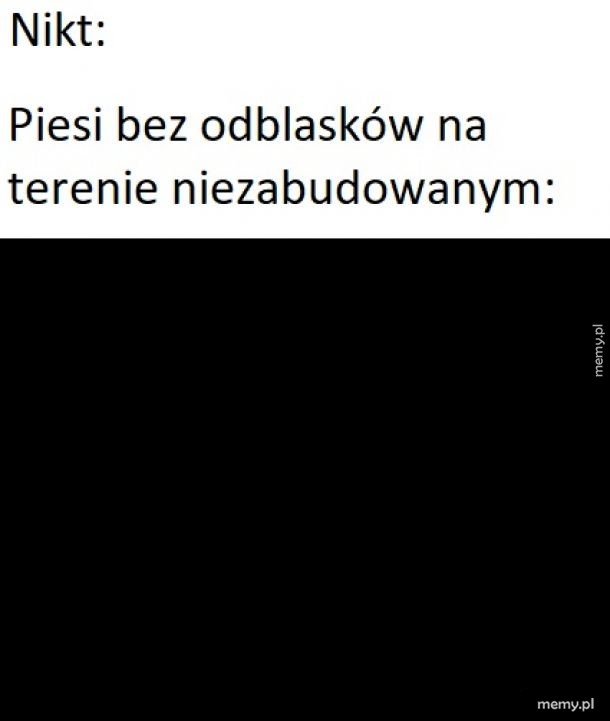 Piesi