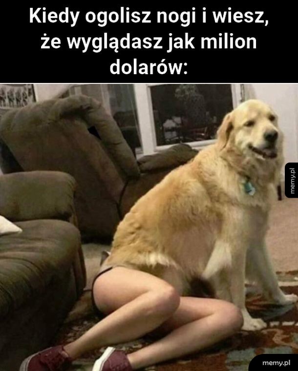 Duma