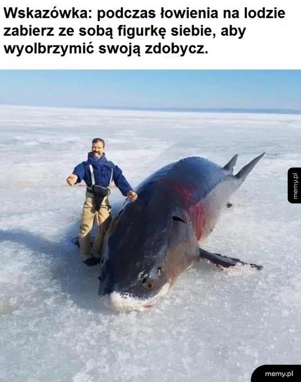 Na ryby