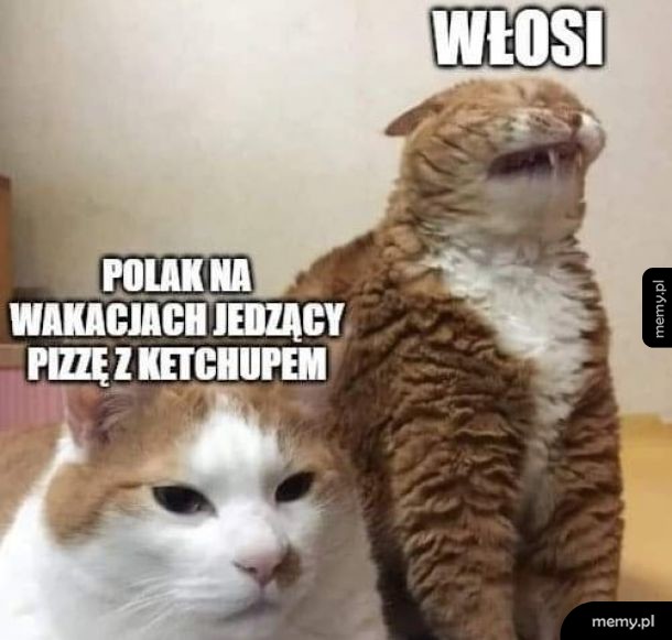 To już jest koniec świata