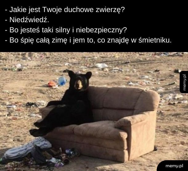 Wszyscy jesteśmy niedźwiedziami