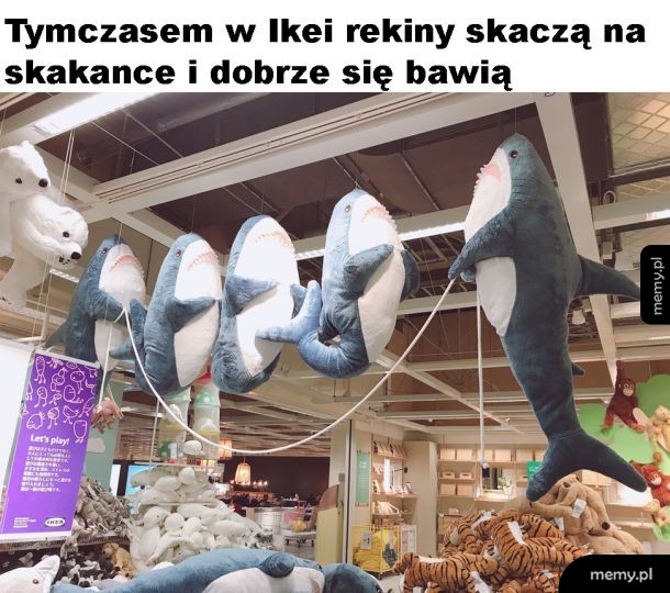 Skaczące rekiny