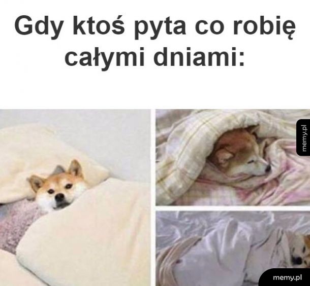Tak jest