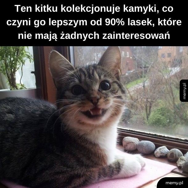 Netflix'n'chill to nie zainteresowanie