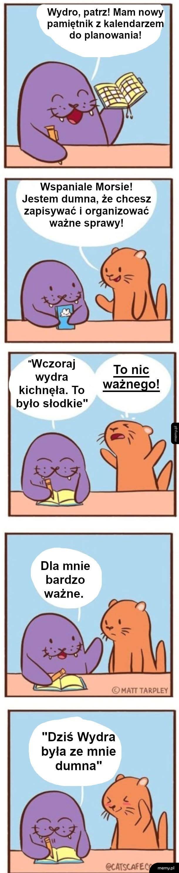 Wyderka i Morsik