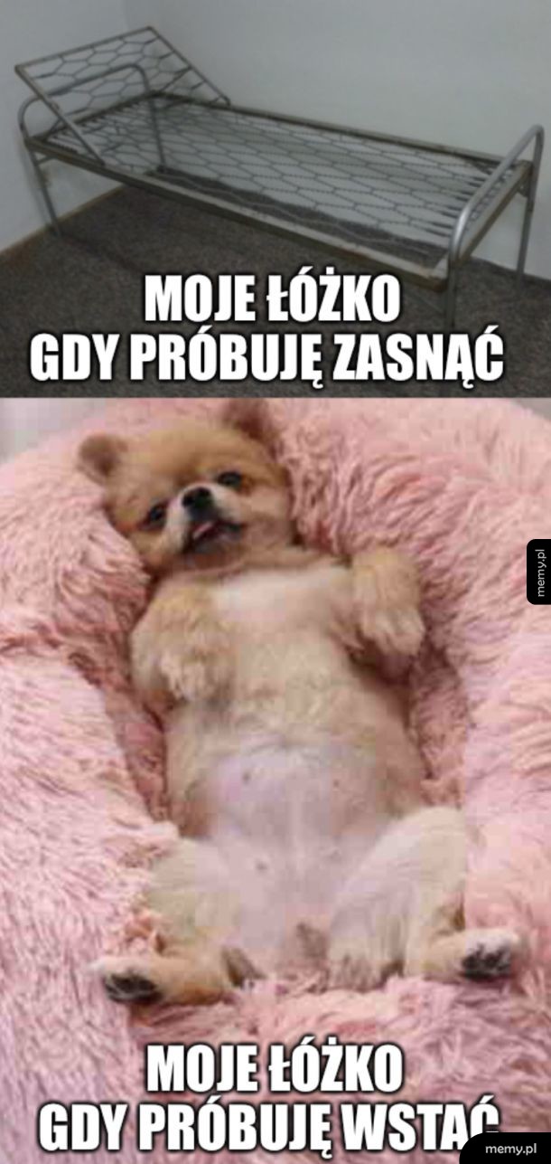 Dlaczego