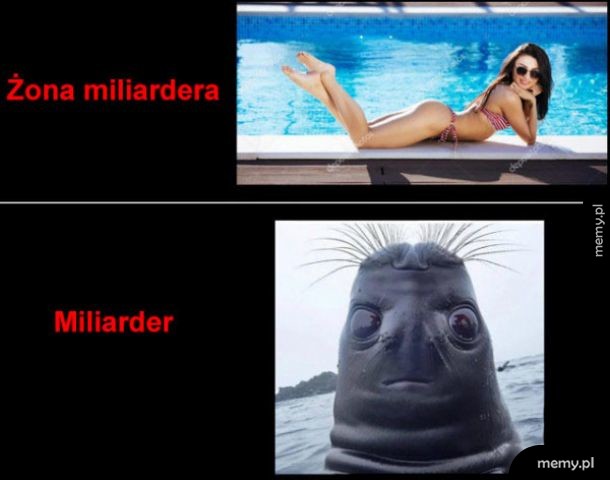 Miliarder
