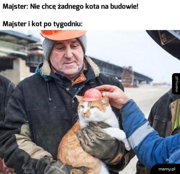 Polubili się