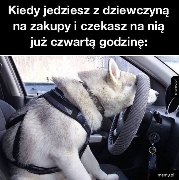 Dlaczego