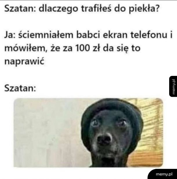 Najukochańszy wnuczek