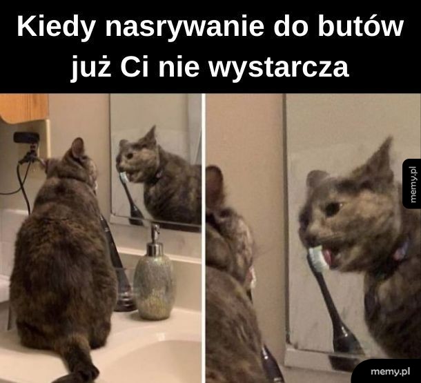 Lizu lizu