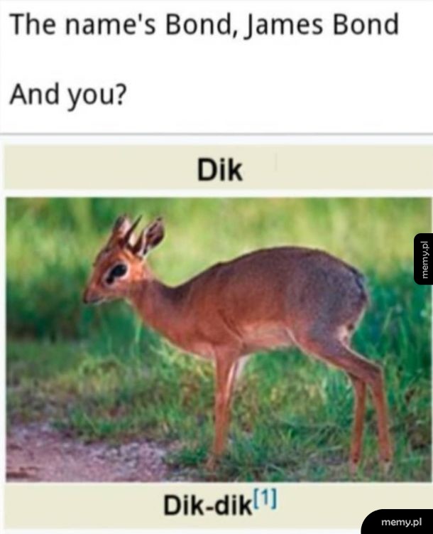Dik