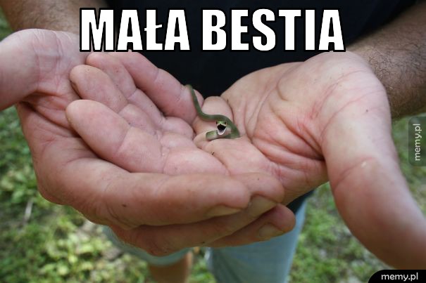 Mała bestia  