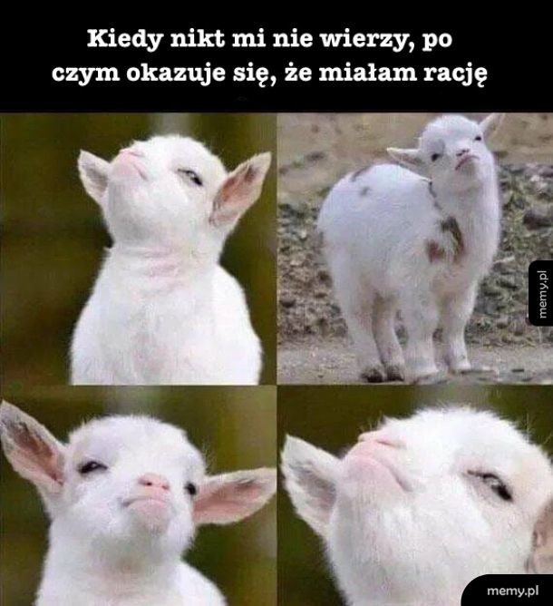 A im teraz głupio
