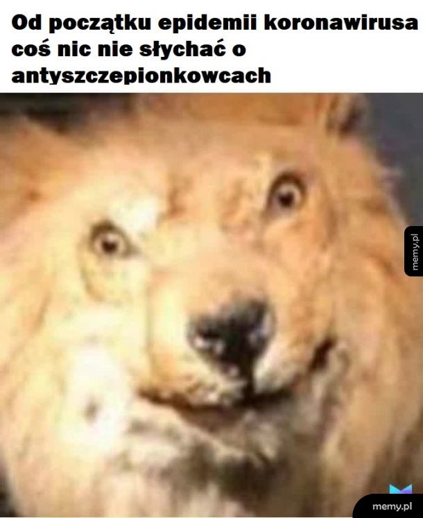 Cisza