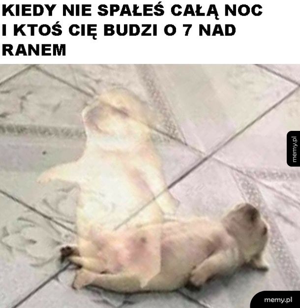 Poranek