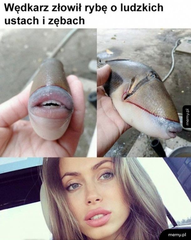 Wędkarz