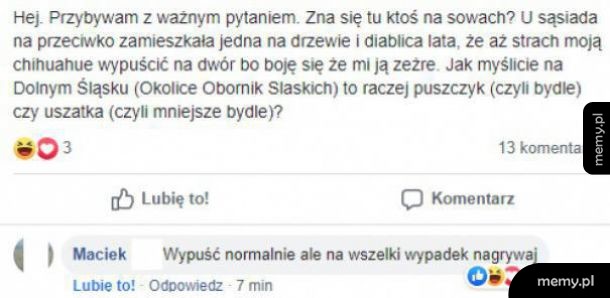 Będzie dobrze, wypuść