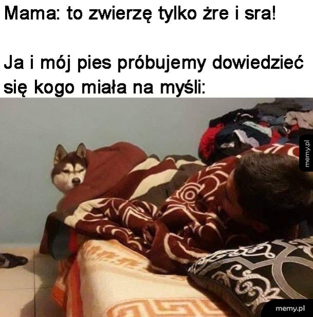 Rozkminy