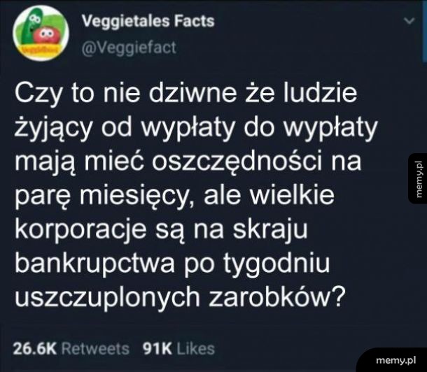 Fakty