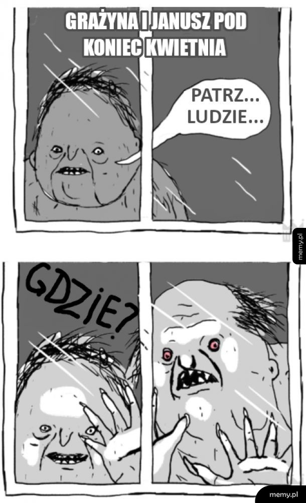 Niecodzienny widok