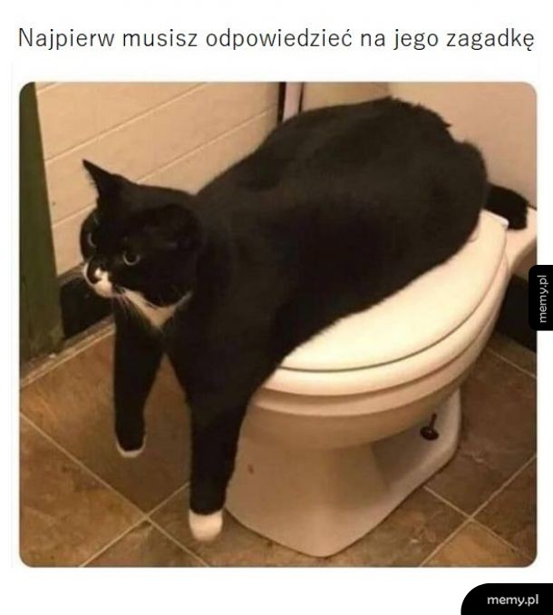 Zagadka