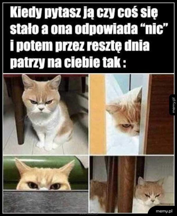 Tak to wygląda