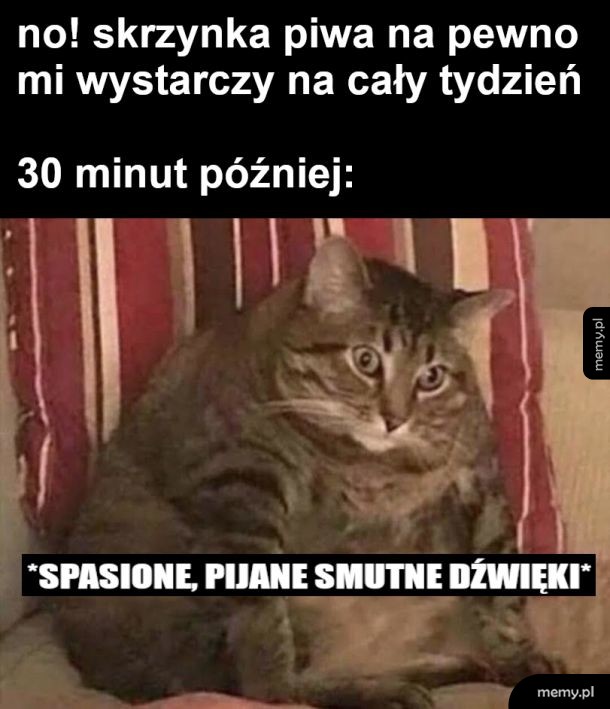 Plan miał się zgoła inaczej